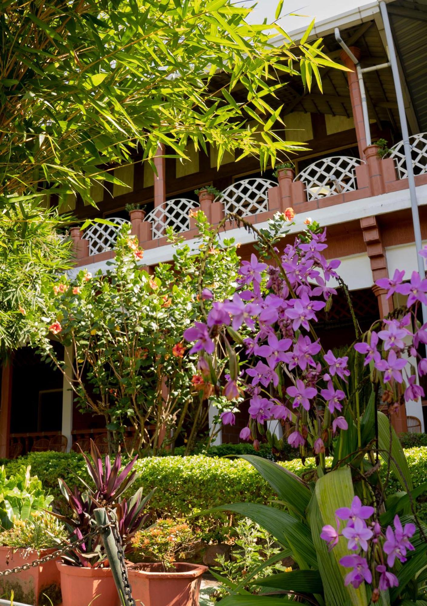 The Nest Inn Resort Masinagudi Zewnętrze zdjęcie